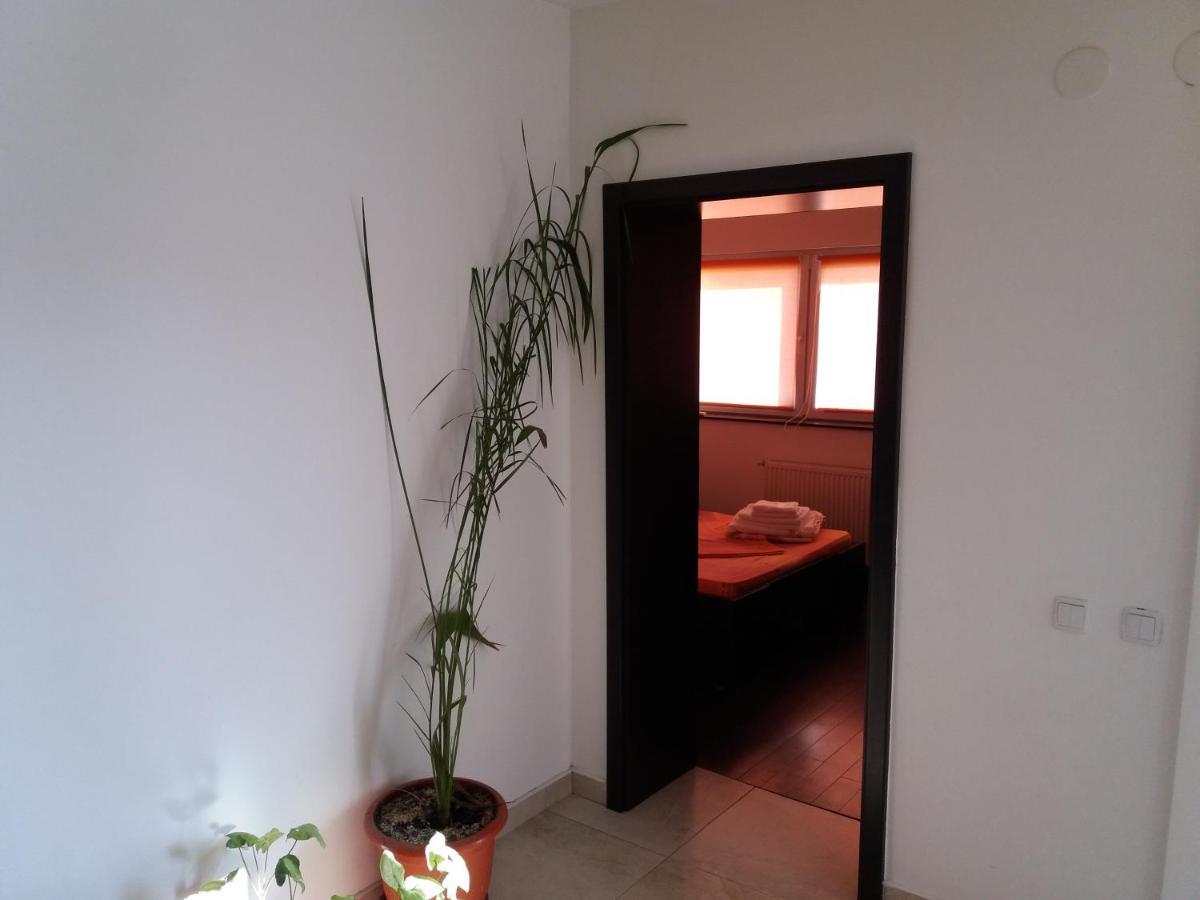 Apartament Kamino Năvodari Extérieur photo